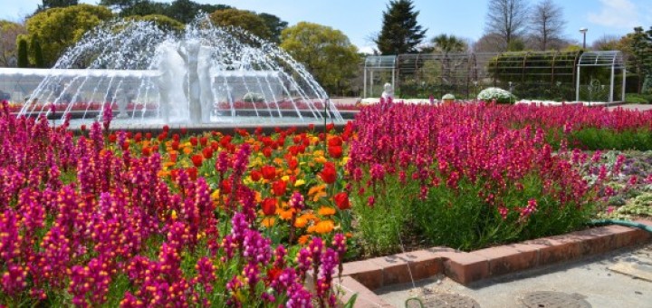 豊橋総合動植物公園(のんほいパーク)大花壇